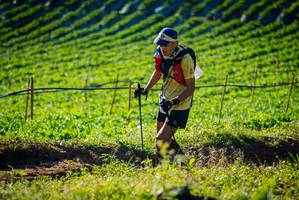 BIB: 
                            <button type="button" onclick="openModal(19160244)" class="btn btn-primary btn-sm float-right btn-popup" data-toggle="modal" data-target=".modal-high-quality">
                        <i class="fas fa-shopping-cart"></i> Add to Cart
                    </button>
                                            <button type="button" onclick="isThisMe(19160244, true)" class="btn btn-success btn-sm float-right btn-popup btn-isme hidden" data-toggle="tooltip" data-placement="bottom" title="นี่คือรูปของคุณใช่ไหม คลิกที่นี่เพื่อเอาเข้าอัลบั้ม">
                        <i class="fas fa-plus"></i> Add to album
                    </button>
                    <button type="button" onclick="isThisMe(19160244, false)" class="btn btn-warning btn-sm float-right btn-popup btn-isnotme hidden">
                        <i class="fas fa-ban"></i> Remove from album
                    </button>